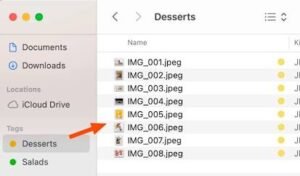 How to Organize Your Digital 